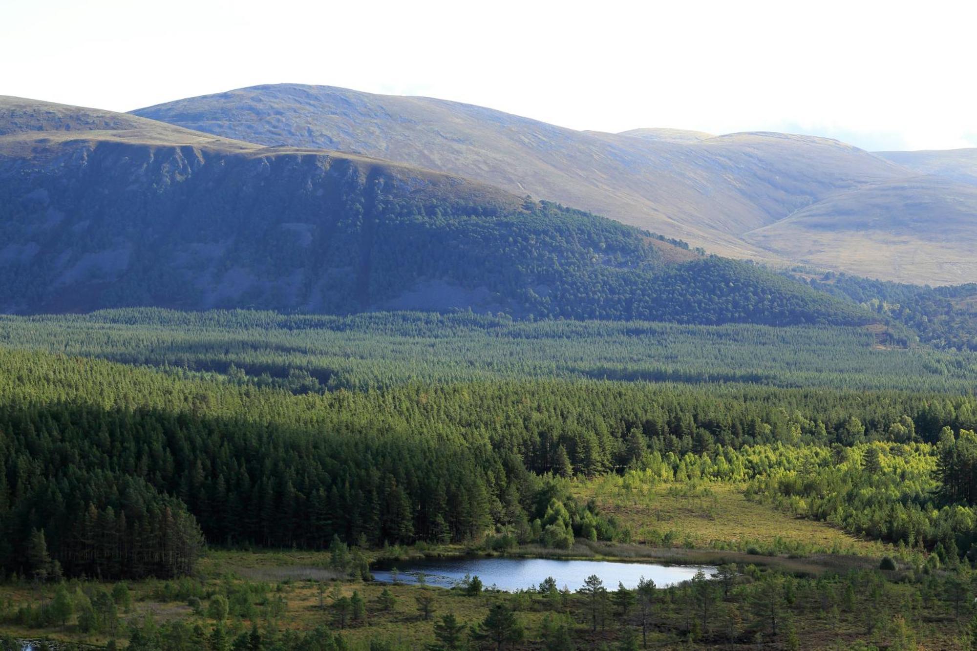 Hotel The Crossing Kingussie Exteriér fotografie